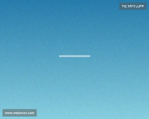 面对四份合同如何选择最适合你的那一份分析与决策技巧